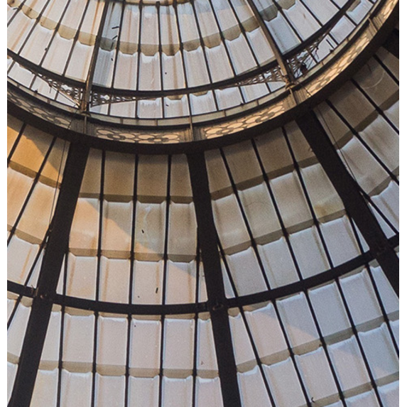 The Picturalist | Fine Art Prints on Paper Glass Dome