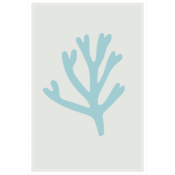 Framed Print on Rag Paper: Blue Bay Marine Coral