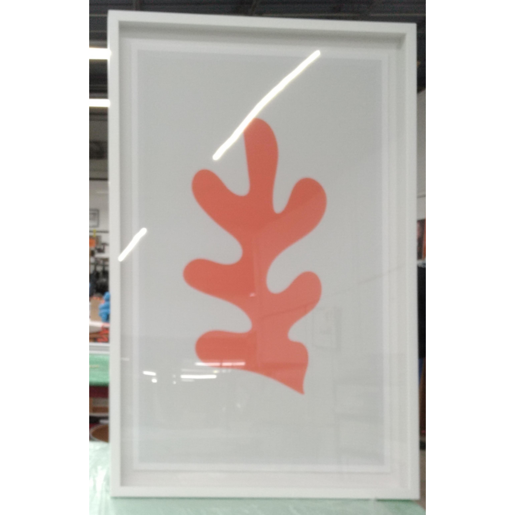 Framed Print on Rag Paper: Fiesta Orange Coral