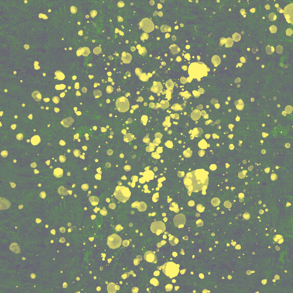 The Picturalist | Print on Canvas Space Dust by Francesco Alessandrini