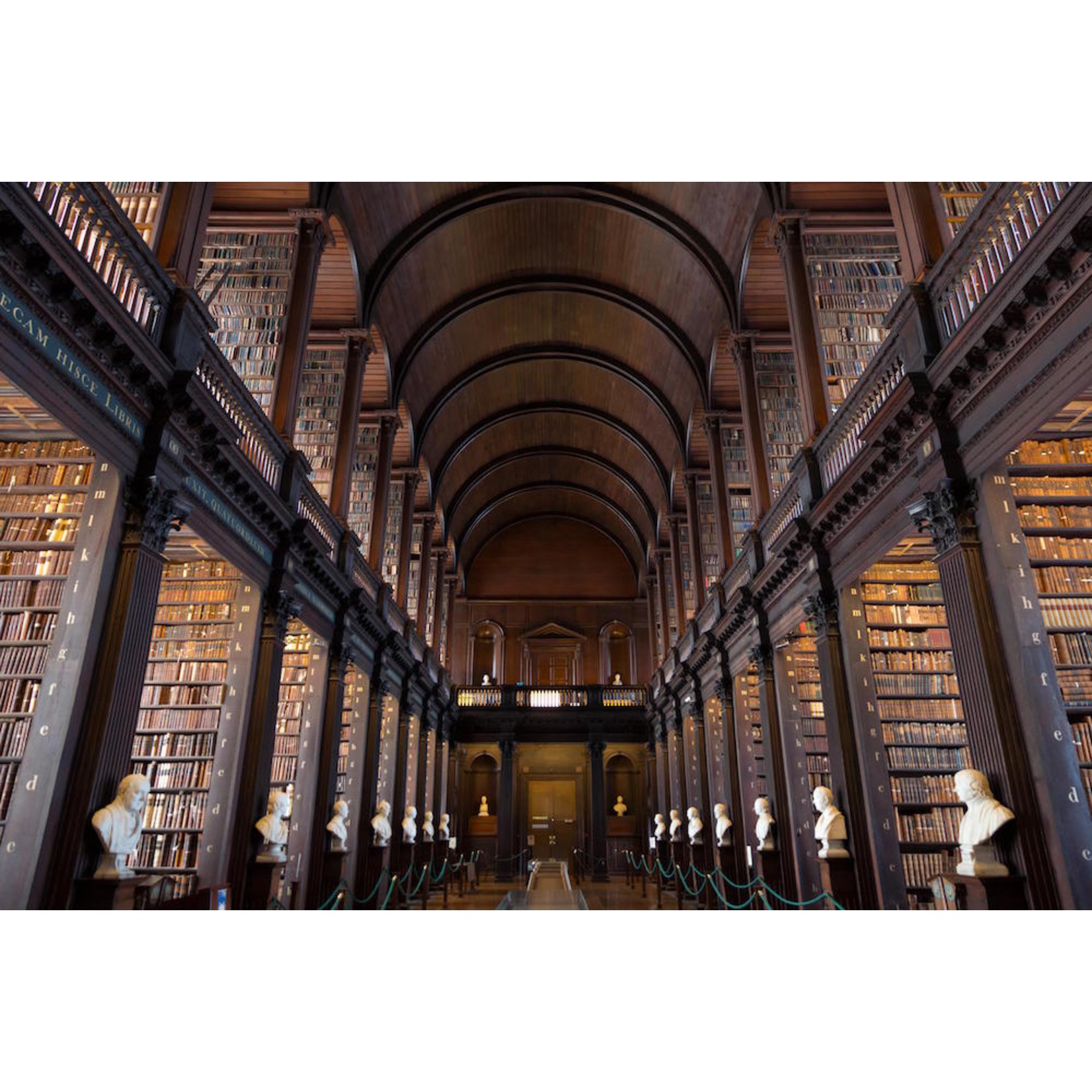 The Library of Trinity College Dublin on X: We're so excited for