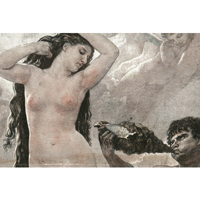 Framed Print on Rag Paper: The Birth of Venus, XIX Century Illustration