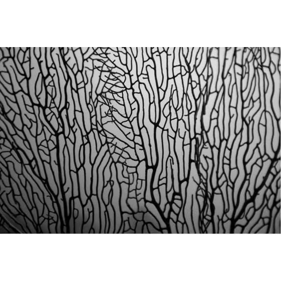Facemount Metal Prints Underwater Coral Screen printed on brushed metal by Enric Gener