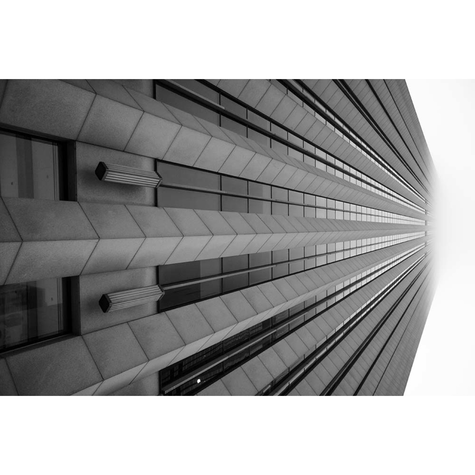 The Picturalist | Fine Art Prints on Paper Always Look Up by Ugo Shirvanian