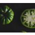 The Picturalist | Fine Art Prints on Paper Green Tomatoes by Jed Gordon-Moran