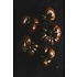 The Picturalist | Fine Art Prints on Paper Heirloom Tomatoes by Jed Gordon-Moran
