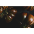 The Picturalist | Fine Art Prints on Paper Heirloom Tomatoes by Jed Gordon-Moran