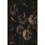 Fine Art Print on Rag Paper Black Futsu