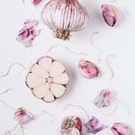 Framed Print on Rag Paper: Garlic Deconstructed