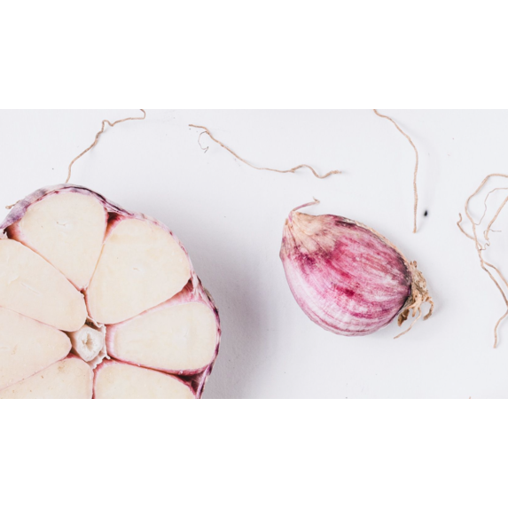 Fine Art Print on Rag Paper Garlic Deconstructed by Jed Gordon-Moran