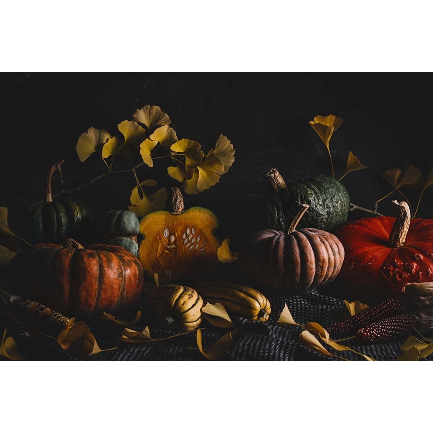 The Picturalist | Fine Art Prints on Paper Winter Squash Tableau by Jed Gordon-Moran