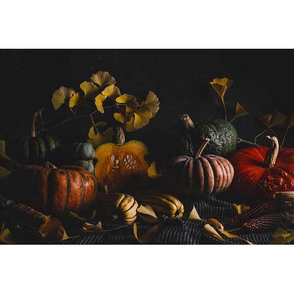 The Picturalist | Fine Art Prints on Paper Winter Squash Tableau by Jed Gordon-Moran