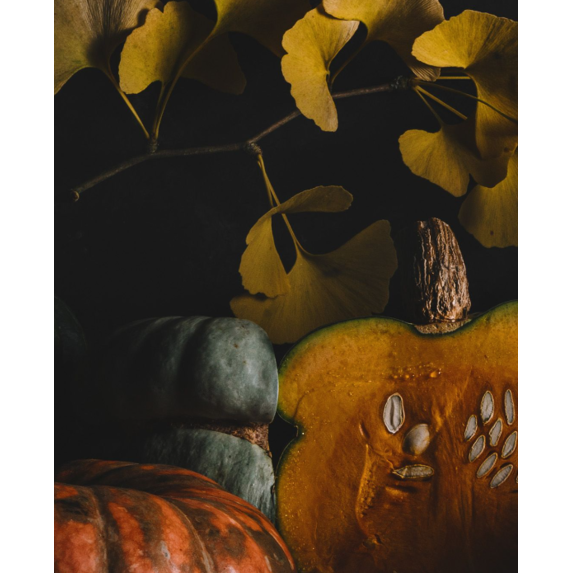 The Picturalist | Fine Art Prints on Paper Winter Squash Tableau by Jed Gordon-Moran