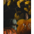 The Picturalist | Fine Art Prints on Paper Winter Squash Tableau by Jed Gordon-Moran