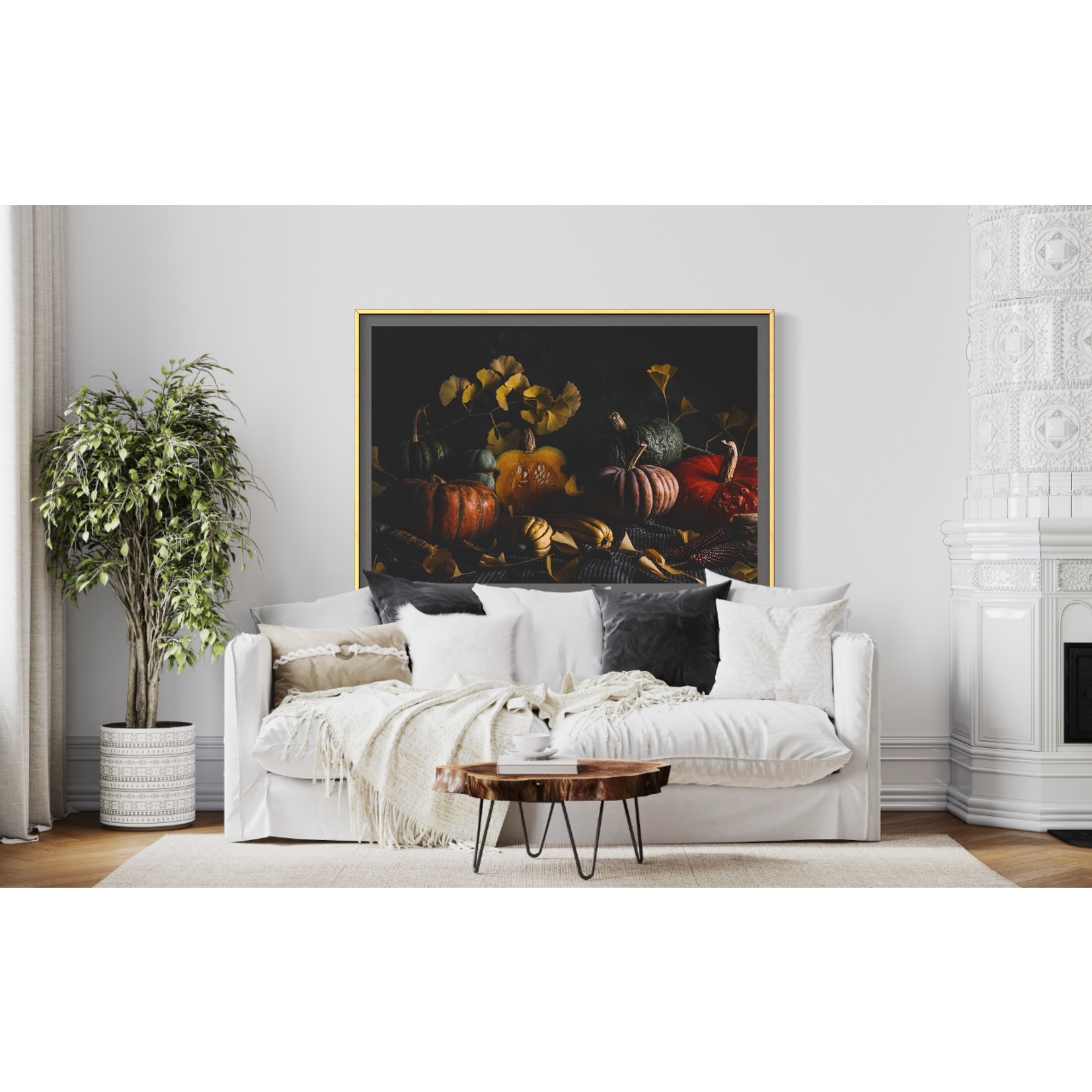 The Picturalist | Fine Art Prints on Paper Winter Squash Tableau by Jed Gordon-Moran