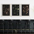 The Picturalist | Fine Art Prints on Paper Green Tomatoes by Jed Gordon-Moran