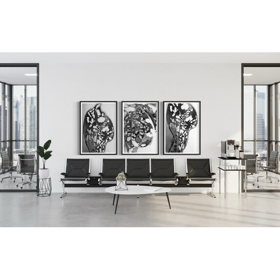 The Picturalist | Fine Art Prints on Paper Feuille Percee 2 Photography by Eric Gizard