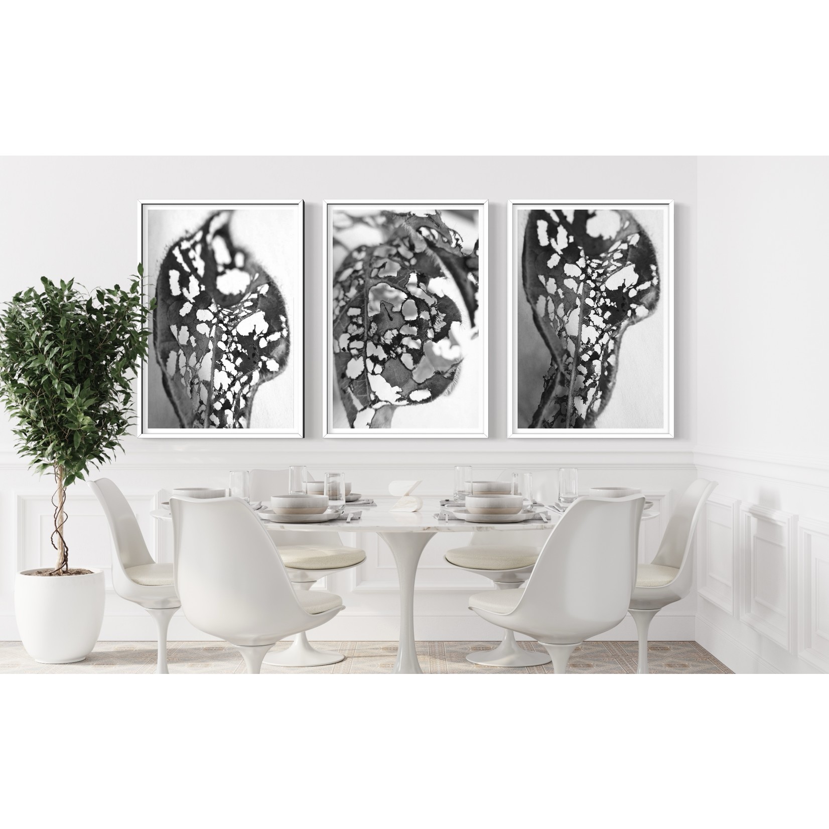 The Picturalist | Fine Art Prints on Paper Feuille Percee 2 Photography by Eric Gizard