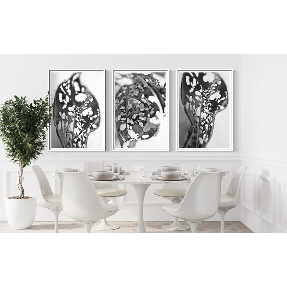 The Picturalist | Fine Art Prints on Paper Feuille Percee 2 Photography by Eric Gizard