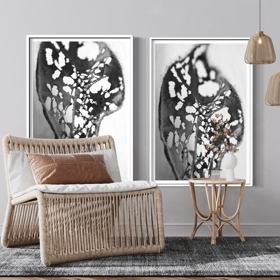 The Picturalist | Fine Art Prints on Paper Feuille Percee 2 Photography by Eric Gizard
