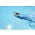 Getty Images Gallery Woman diving in swimming pool by Estend61 via Getty Images Gallery