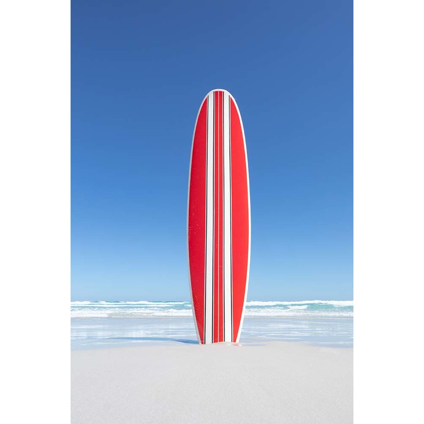 Red surfboard: Más de 3,555 ilustraciones y dibujos de stock con licencia  libres de regalías