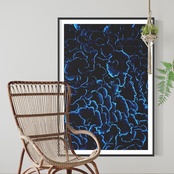 The Picturalist Fine Art Print on Rag Paper: Sea Coral by Enric Gener