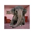 Framed Print on Rag Paper Asian elephant in lying on rug in living room by Matthias Clamer via Getty Images Gallery
