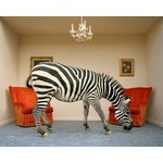 The Picturalist Fine Art Print on Rag Paper: Zebra in Living Room