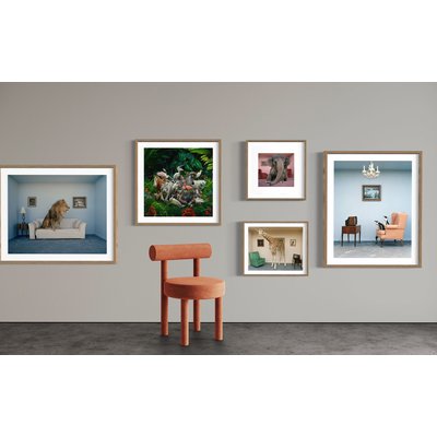 Framed Print on Rag Paper Giraffe in living room by Matthias Clamer via getty Images Gallery