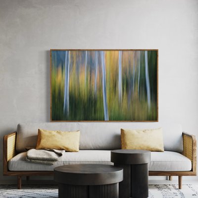Framed Print on Rag Paper Blurred motion, a forest of aspen trees in autumn, straight white tree trunks by Mint Images via Getty Images Gallery
