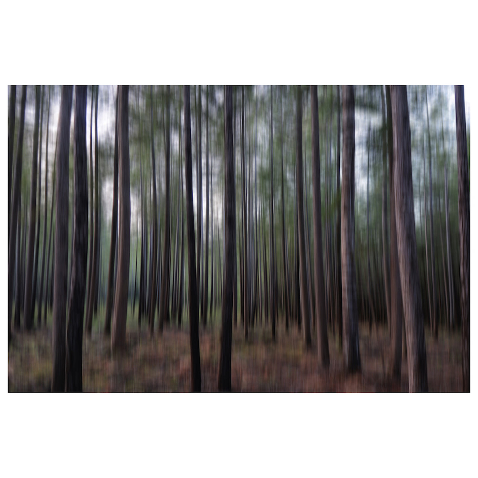 The Picturalist | Fine Art Prints on Paper Protect Your Peace by Karen Thom
