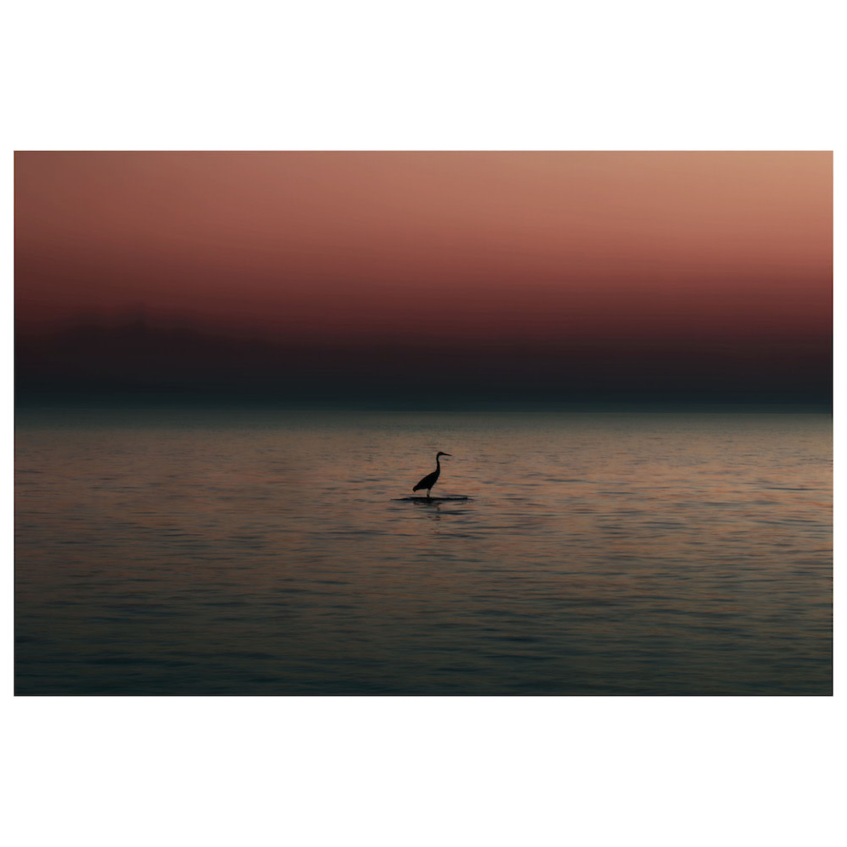 The Picturalist | Fine Art Prints on Paper Night Life by Karen Thom