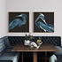 Framed Print on Rag Paper: Louisiana Heron (Black Background) by John James Audubon