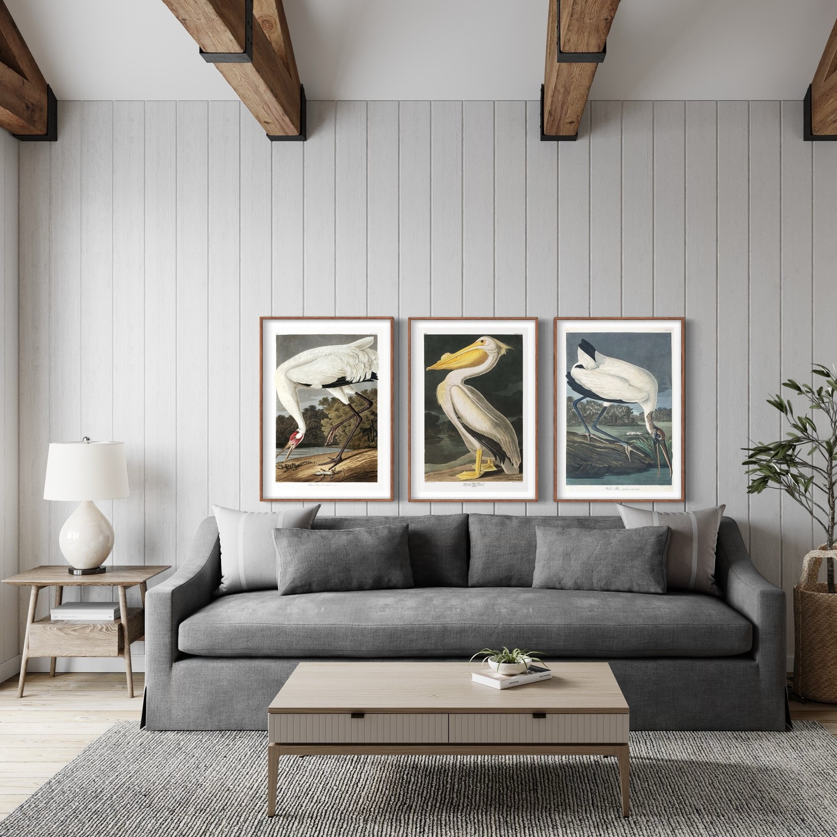 The Picturalist | Fine Art Prints on Paper Wood Ibis by John James Audubon