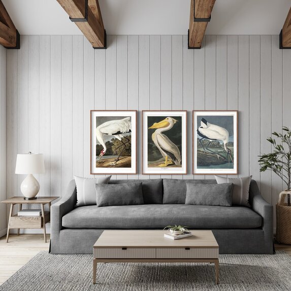 The Picturalist | Fine Art Prints on Paper Wood Ibis by John James Audubon