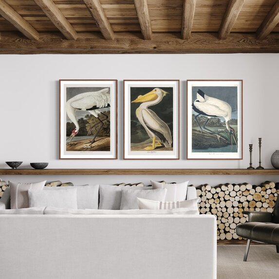 The Picturalist | Fine Art Prints on Paper Wood Ibis by John James Audubon
