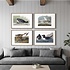 The Picturalist | Fine Art Prints on Paper Pin Tailed Duck by John James Audubon