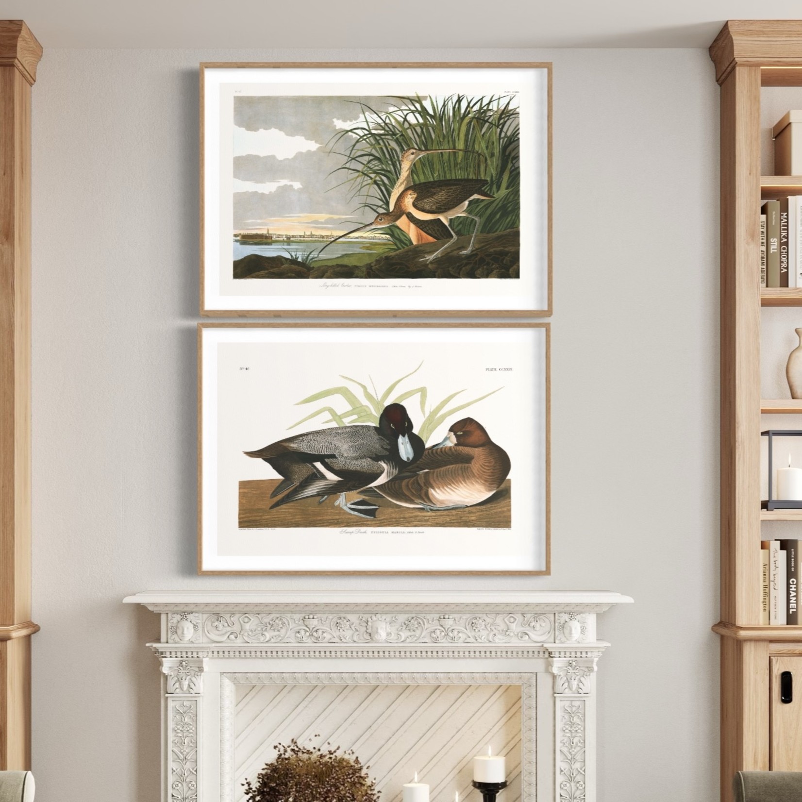 The Picturalist | Fine Art Prints on Paper Scaup Duck by John James Audubon