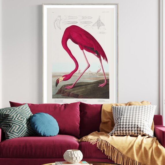 Fine Art Print on Rag Paper American Flamingo by John James Audubon