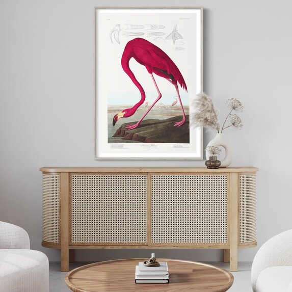 Fine Art Print on Rag Paper American Flamingo by John James Audubon