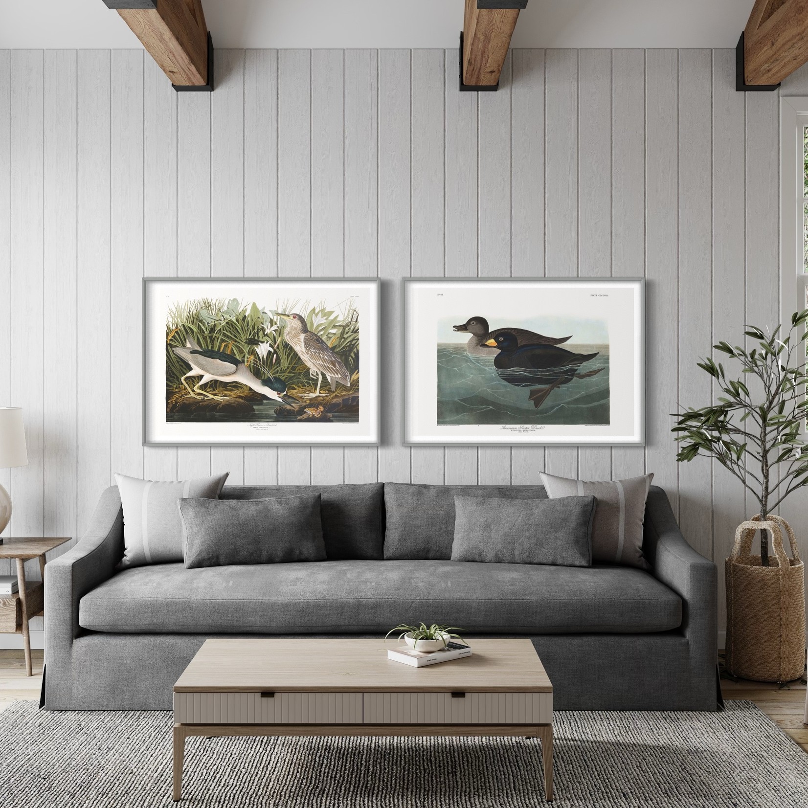 The Picturalist | Fine Art Prints on Paper Night Heron by John James Audubon