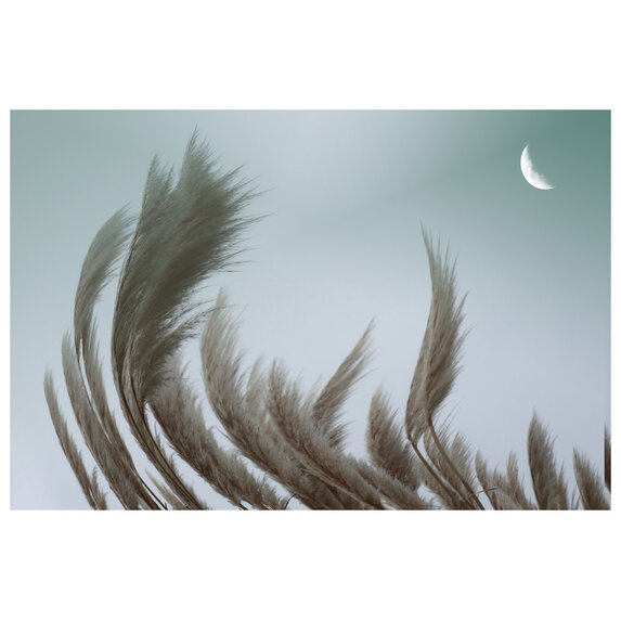 The Picturalist | Fine Art Prints on Paper Simplicity Breathes by Karen Thom
