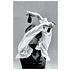 The Picturalist | Fine Art Prints on Paper Flamenca by A. Perez