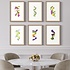 The Picturalist | Fine Art Prints on Paper Color Study 13 By Encarnacion Portal Rubio