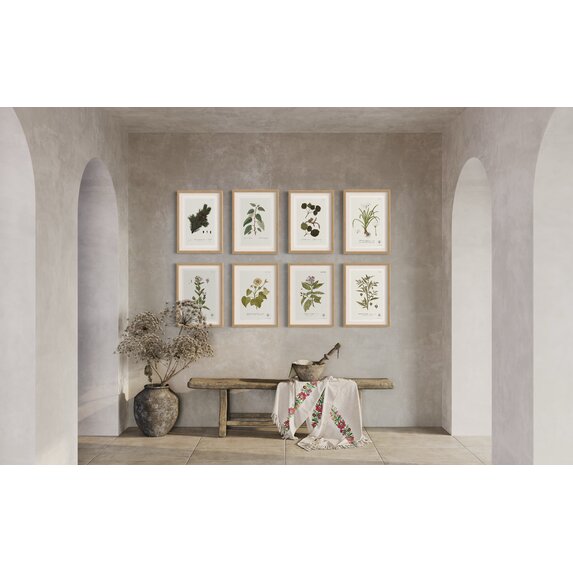 The Picturalist | Fine Art Prints on Paper Balsamifera Populus Botanical Print