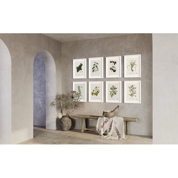 The Picturalist | Fine Art Prints on Paper Balsamifera Populus Botanical Print