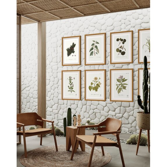 The Picturalist | Fine Art Prints on Paper Celtis Occidentalis Botanical Print