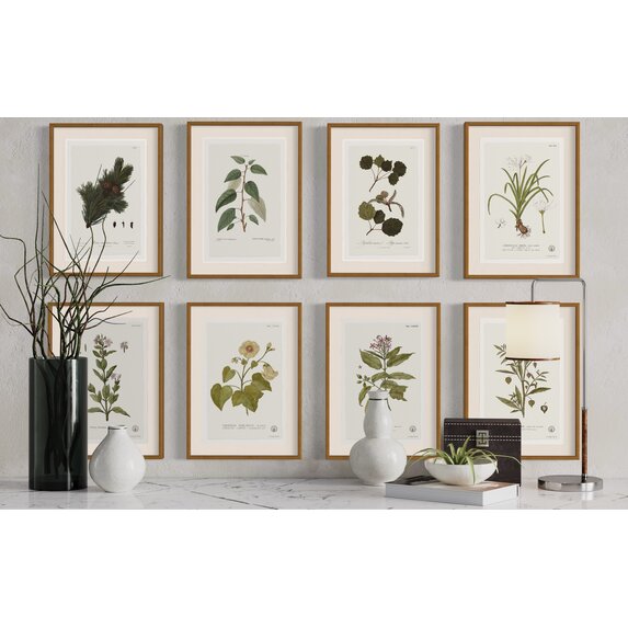 The Picturalist | Fine Art Prints on Paper Tabernae Montana Botanical Print