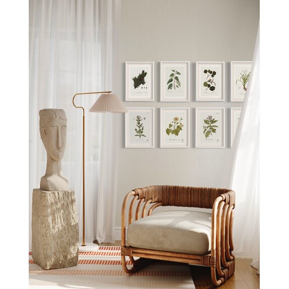 The Picturalist | Fine Art Prints on Paper Quiscalis Spinosa Botanical Print